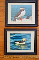 Lot of 2 Puffin Photography BIRD Prints North Fork Eastern LI Jane Utz FRAMED