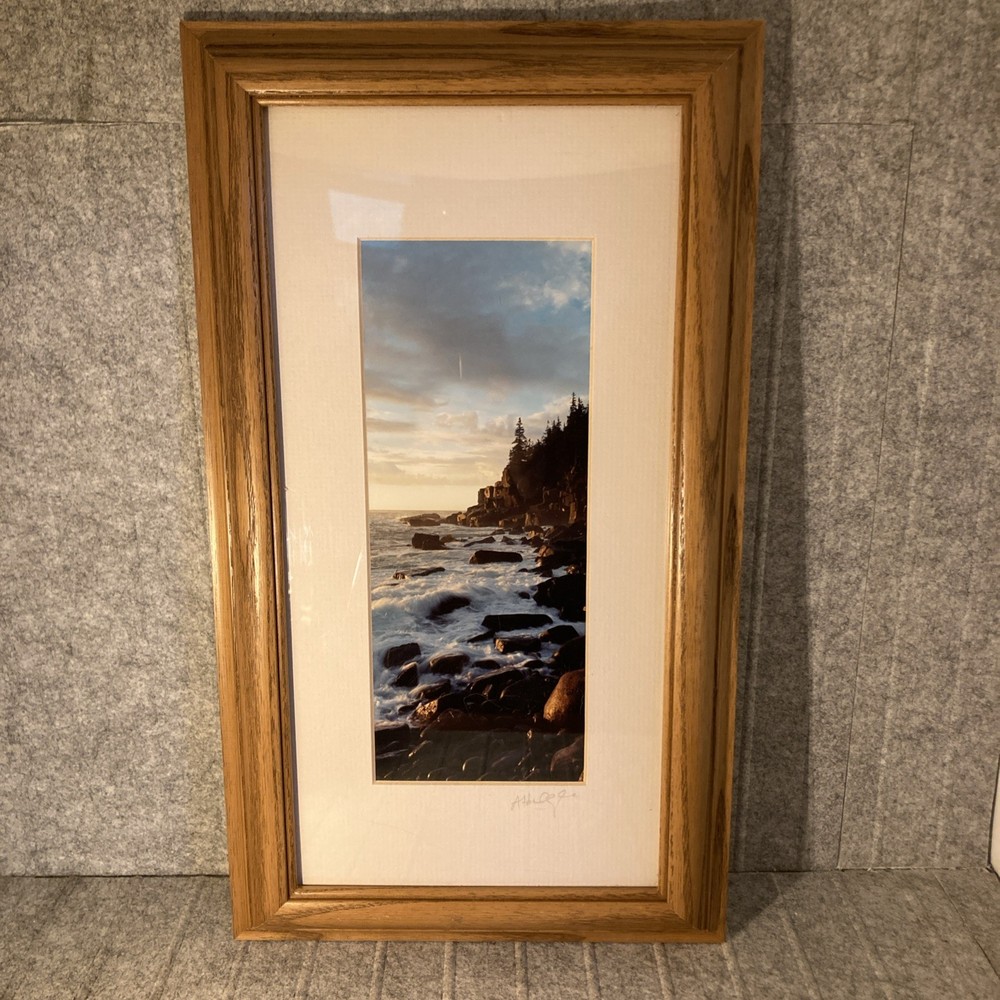 Sunrise Otter Cliffs Acadia Nation Park Photograph By Alan Hoelzle