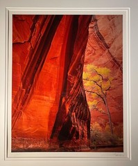 Michael Fatali authentic Cibachrome Print “Canyon Voices”