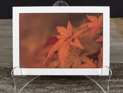 Autumn Leaf Art Print, 5×7, Thick Eggshell Texture Matte Paper, Ready to Frame