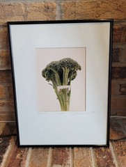 Michael Craven Fine Photography «Broccula» 1994 Signed Framed 70/300 Print 1998