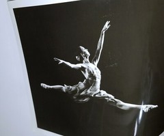 JOFFREY BALLET 8×10 HERBERT MIGDOLL PRESS PHOTO JILL DAVIDSON DANCE VTG DANCER