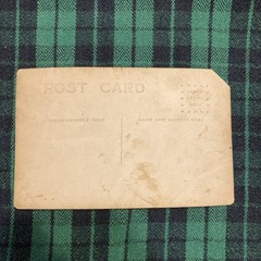 Vintage Postcard