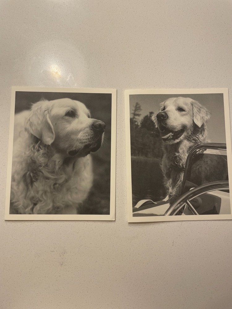 bruce weber rare folded christmas notecards set of 2
