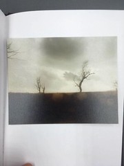 TODD HIDO: Cracked Trees 2009 SIGNED Photo w/ Ltd Ed. One Picture Book #59 *NEW*