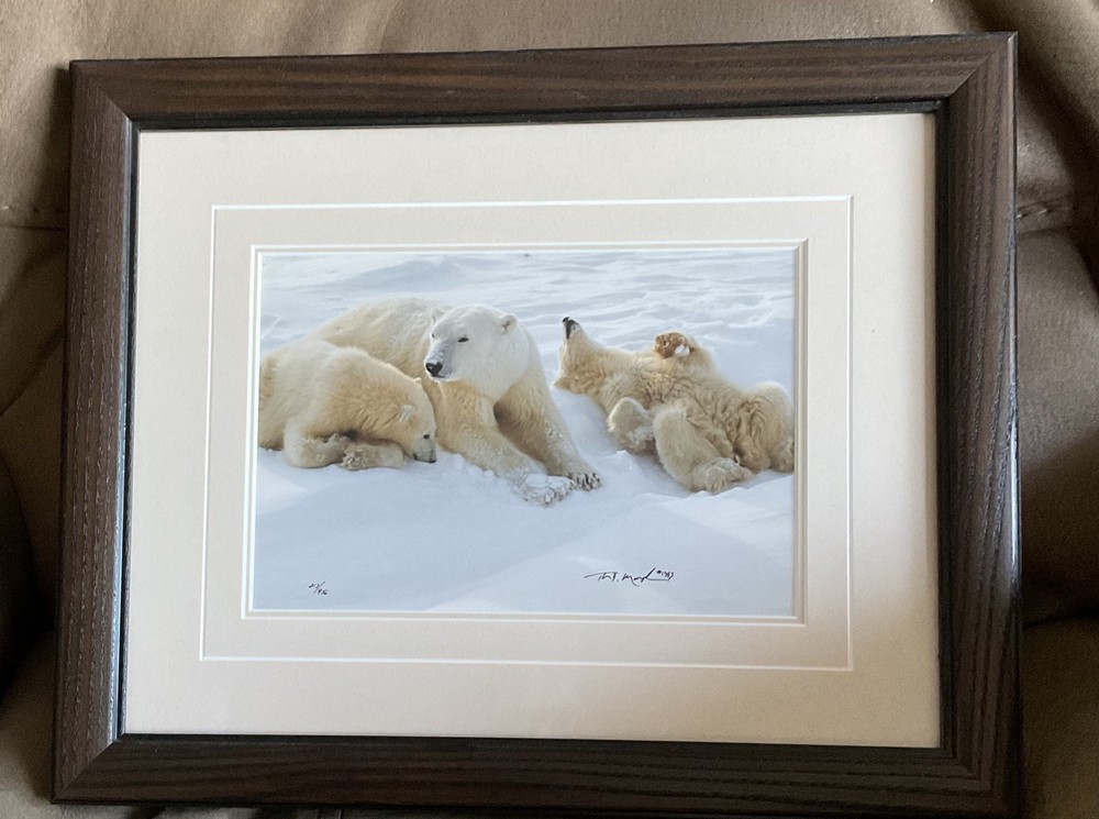tom mangelsen signed and numbered #217/950 Winter Itch photograph