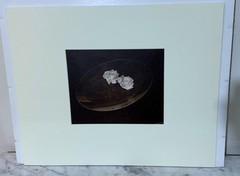AMERICAN ARTIST ROBERT J. STEINBERG SIGNED DATED PHOTOGRAPH – «TWO WHITE ROSES»