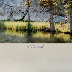 VTG Sherrill SIGNED Matted Photo 8×10 Hoffer Lakes Oregon Forest Landscape Art