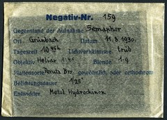 glass negative, GRÜNBACH, semaphore, trainlines, railways, by Eduard PEZDIKA,