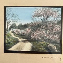 SIGNED WALLACE NUTTING WINDING ROAD w FLOWERING TREES H/TINTED FRAMED PHOTOGRAPH