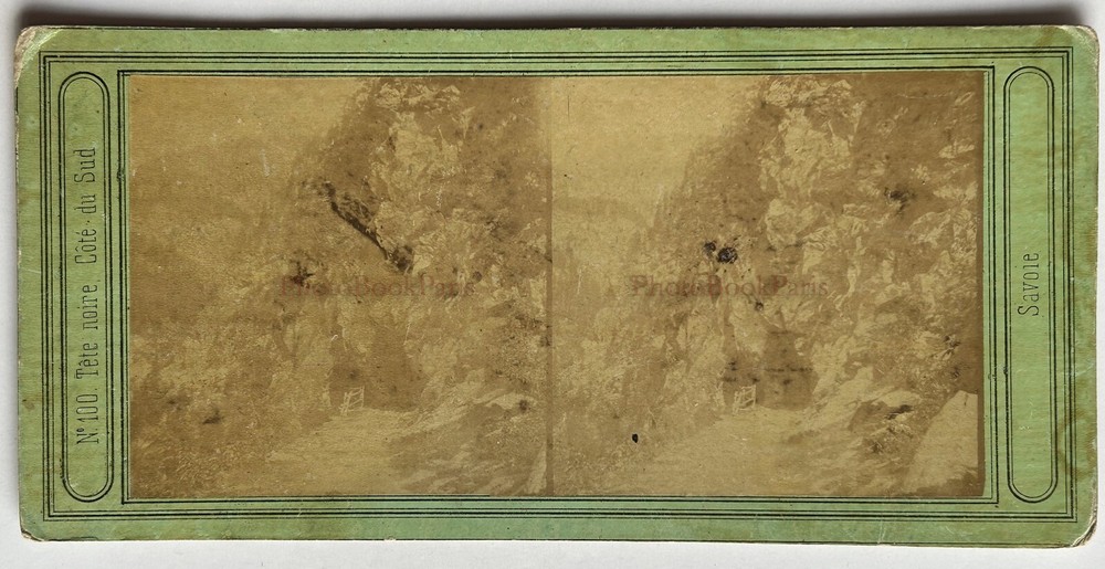 France Savoie Tête Noir Mountains C1860 Photo Stereo Album Vintage