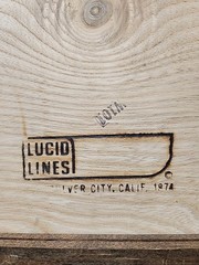 Vintage Lucid Lines Photography Remington On Glass W101