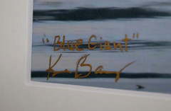 Great Blue Heron Wildlife Photo 8″ x 10″ in 11″ x 14″ Matte Signed by Kim Barry