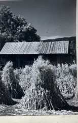 2 days Rare Find ! Signed Ansel Adam Original Photograph, gift for art lovers.