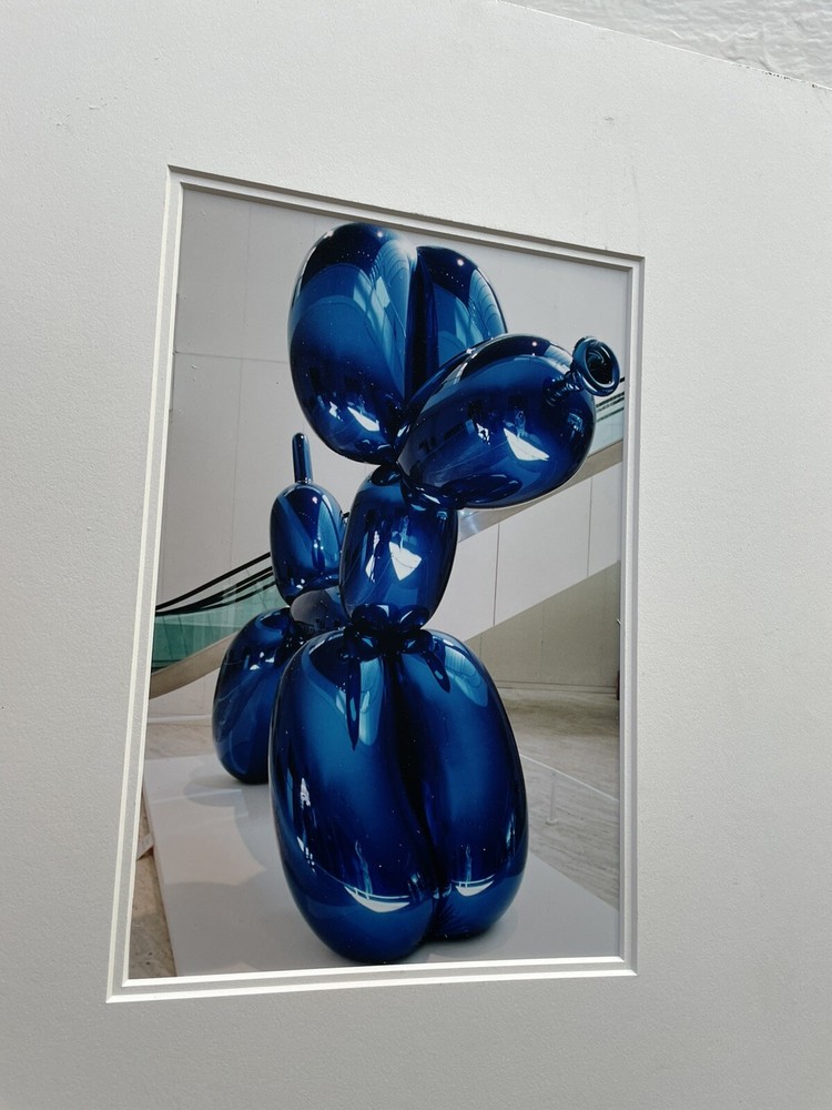 Alexander Hofrichter Ballon Dog 2002 Photo German Artist 12+8 Inches Blue
