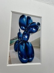 Alexander Hofrichter Ballon Dog 2002 Photo German Artist 12+8 Inches Blue