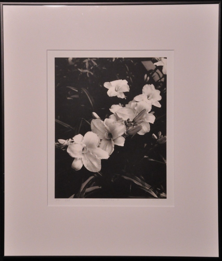 Steven Michael Bogdonas | «Daylillies I » (2000) Original Hand-Printed Photo