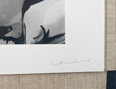 Signed Brett Weston “Abstraction” 1978 – Gelatin Silver Print – Limited Ed. 35