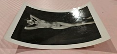 Vintage Artistic Nude Studio Picture Oriental Woman Art 3×5 Black & White