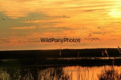 Sunrise or Sunset Photo, Pick One Image – Various Sizes