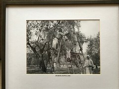 art photographs of Jerusalem from the 1920s and 1930s