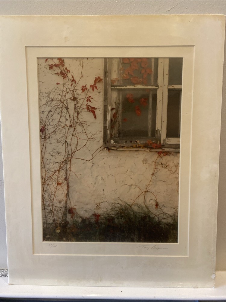 Tony Casper 16×20 Red Ivy Window Signed Numbered 47/275 Art Photography Print 92