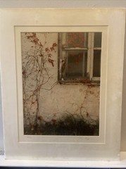 Tony Casper 16×20 Red Ivy Window Signed Numbered 47/275 Art Photography Print 92
