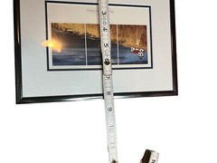 Mark Bergsma Signed Art Framed Photograph Lighthouse Dog “Waiting For My Friend”