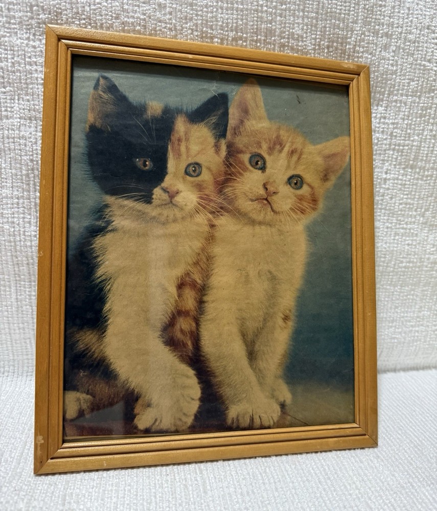 Vtg. Lambert Photo Frame- W/Calico Kittens Magazine 8 X 10 Photo Art Print