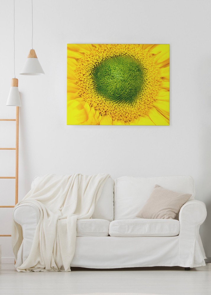 «EYE OF THE SUNFLOWER» 4×6 » MATTED AND FRAMED PHOTO PRINT, READY TO HANG
