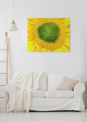 «EYE OF THE SUNFLOWER» 4×6 » MATTED AND FRAMED PHOTO PRINT, READY TO HANG