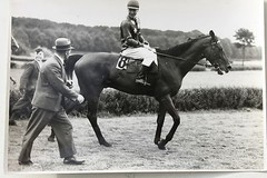 19537 Photo Krefeld Walbecken Hunting Race 20.7. 1941 Horse Winnetou Horse Race
