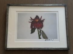 🎈RARE SIGNED Nobuyoshi Araki – Painting Flower, Original, Limited Ed Print 2004