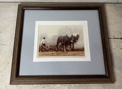 Bill Coleman Amish No. 11 Photograph 1/750 Farmer Draft Horse Team Plowing Field