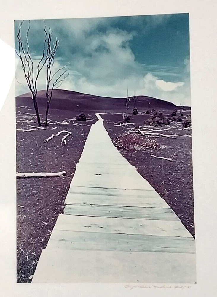 Framed Photograph by Gary Masline 1975 Signed 25″x21″ Frame Excellent Condition!