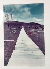 Framed Photograph by Gary Masline 1975 Signed 25″x21″ Frame Excellent Condition!