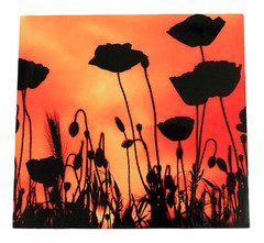 Original photograph of POPPIES Block Mounted and laminated 28 x 29 cm by Senka