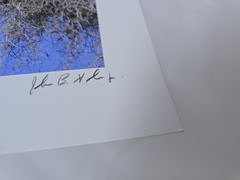 RARE John B. Spohrer, Jr. Signed Osprey Catfish Print Florida’s Forgotten Coast