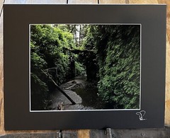 Fern Canyon, Humboldt County, California – Matted Fine Art Photographic Print