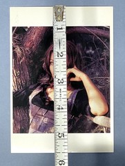 Sophia Loren Art Print Card Photo By Milton H. Greene 1966 Fotofolio 4.25”x 6”
