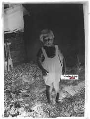 Young Boy, Child, Vintage Glass Photo Plate, Black & White Negative 9X12 Cm