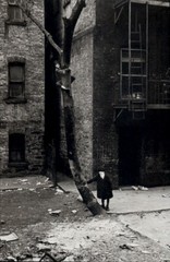 1940 1980s Original Helen Levitt New York City Street Tree Climber Art Photo