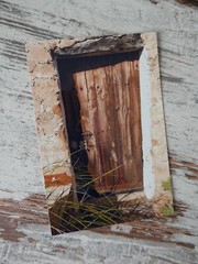 «IMPRESSIONS»: PHOTO, PHOTOGRAPHY, INSPIRATION, AMATEUR PHOTO, SOUTH, IMPRESSIONS!