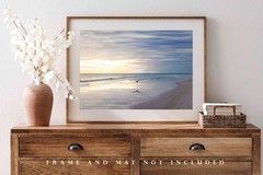Sea Bird Flying Over Waves at Pensacola Beach Florida Photo Print (Unframed)