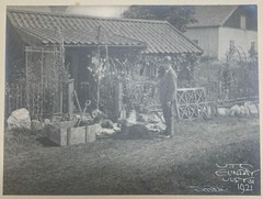 Collection of HENRY BUERGEL GOODWIN Uto Sweden & Portrait GELATIN Photographs