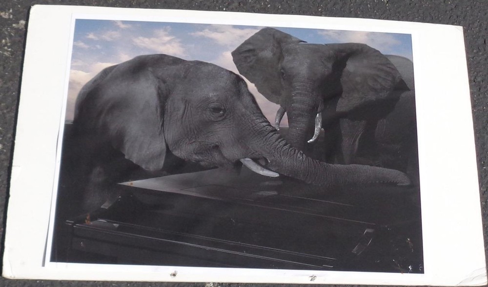 Great Photographic Print – MOUNTED ON ART BOARD – UNIQUE IMAGE – GDC