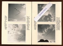 12 x Photo on Cardboard – Including Planes Formation Flies + Balloons