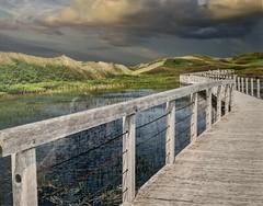 Boardwalk P.E.I. Stormy Sky Photo Reproduction Leona Arsenault Matted Framed