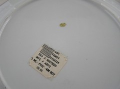 «Kim Boy» 14 inches Plate