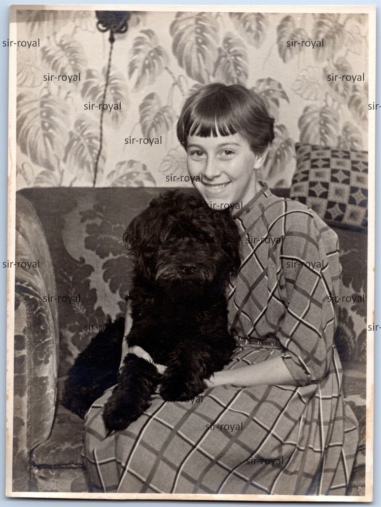 Girl with Black Poodle Dog on Sofa – 1960s – Photo 9x12cm